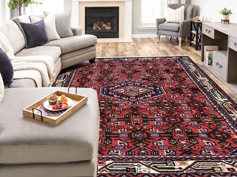 interior-decor-hamadan-rugs